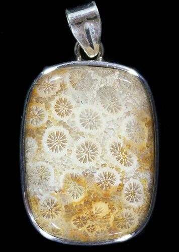 Million Year Old Fossil Coral Pendant - Sterling Silver #49570